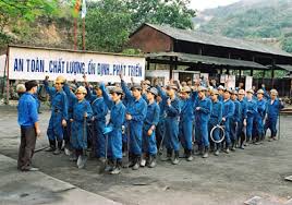 Labour safety profile