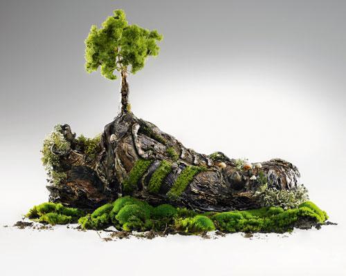 Environment consultant