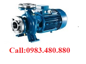 Horizontal pump
