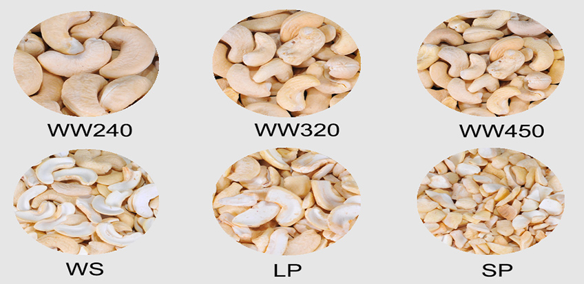 Cashew kernels