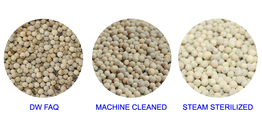 White pepper