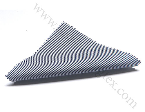 HD02 Red Selvedge Raw Fabric