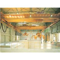 Single girder crane