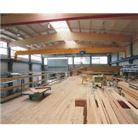 Double girder crane