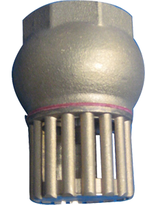 Check valve