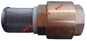 Check valve
