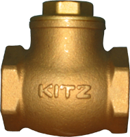 Check valve