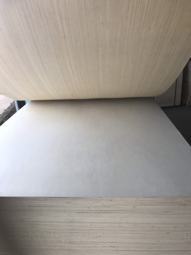 Plywood Interior