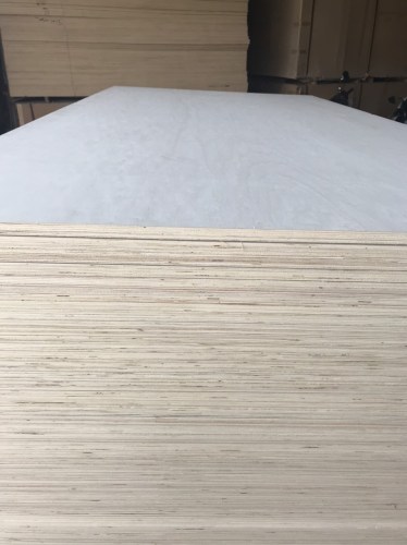 Plywood Interior