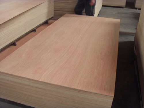 Plywood Board