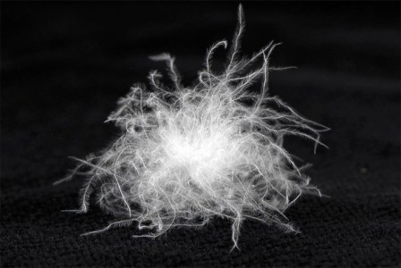Down and Feathers