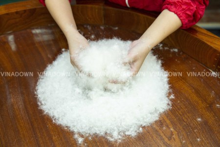 Down and Feathers