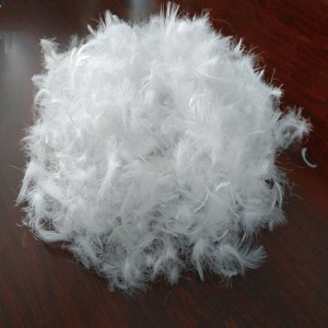 Down and Feathers