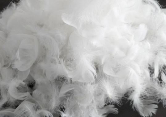 Feather