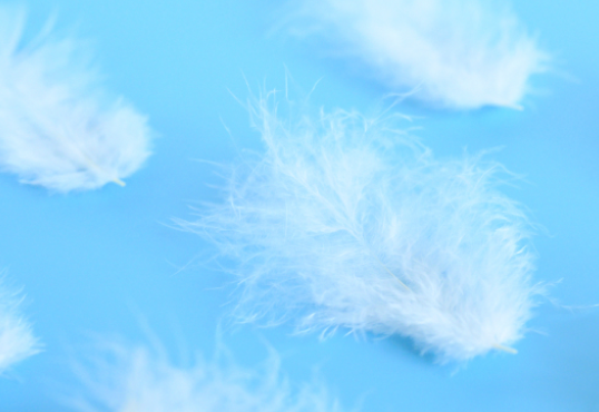 Feather