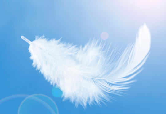 Feather