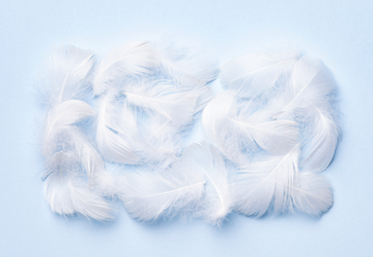 Feather