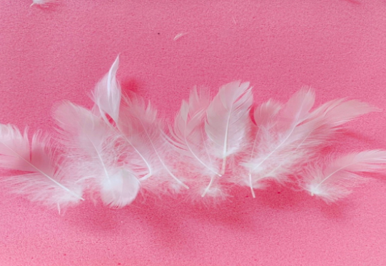 Feather