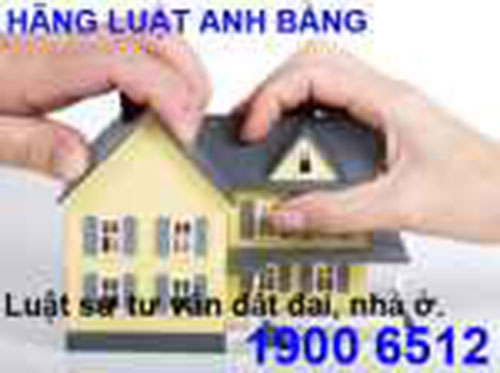 Real Estate Consultant