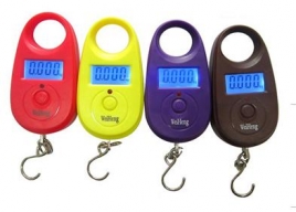 25KG Hook scale