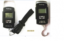 50KG Hook scale