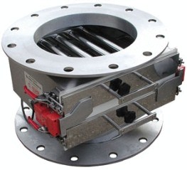 Magnet