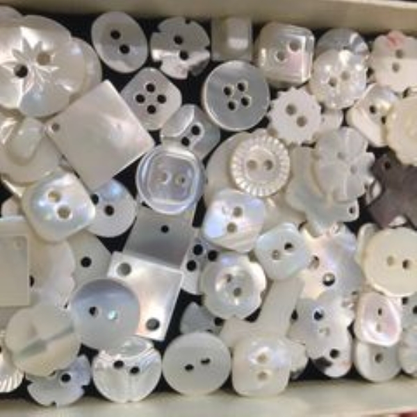 White seashell buttons