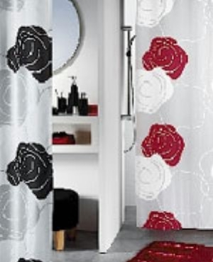 Curtain