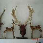 deer horns