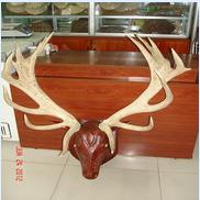 deer horns