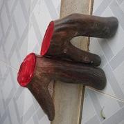 Deer antler velvet