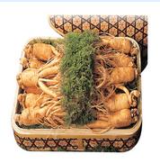Fresh ginseng