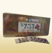 Ganoderma