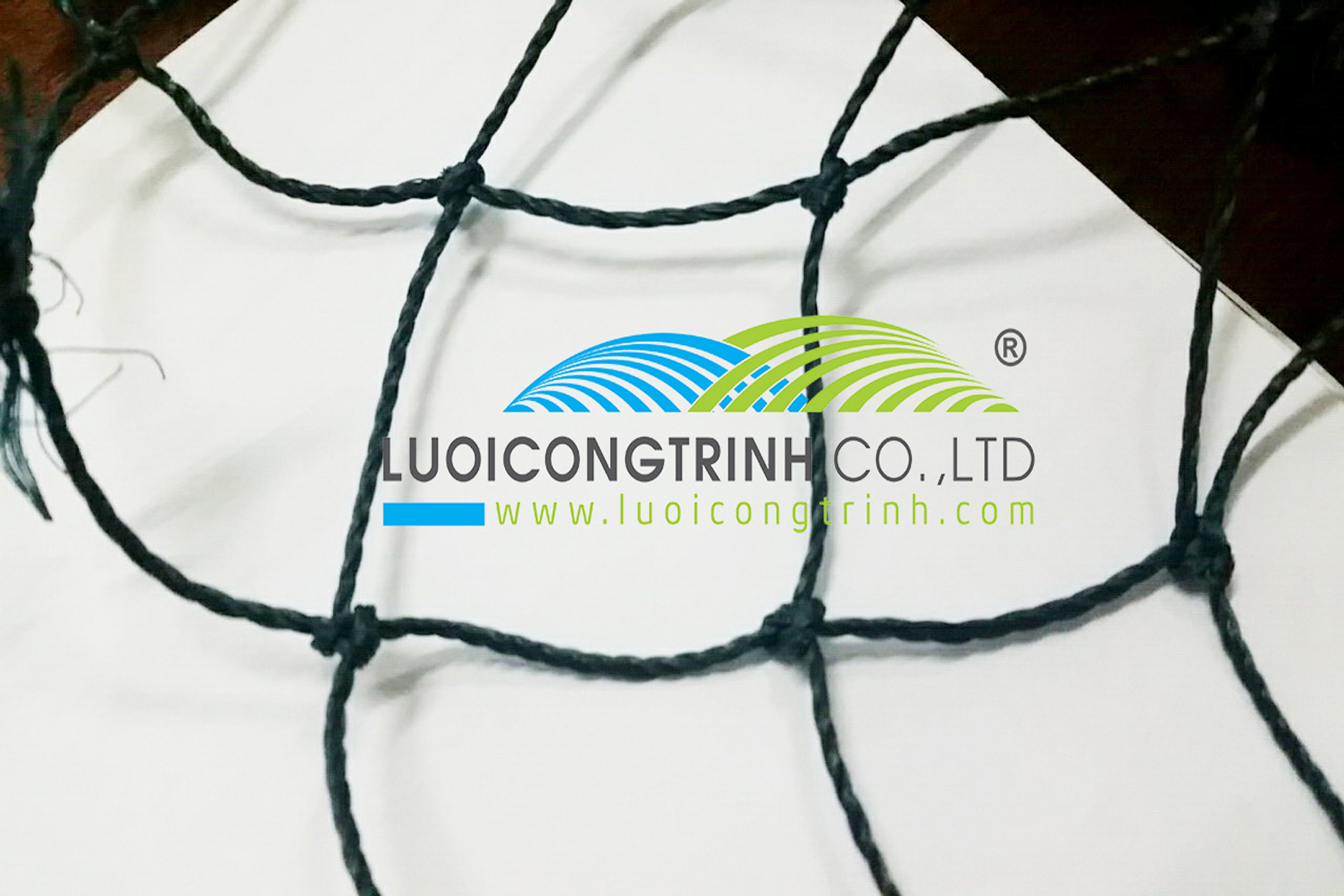 Sport net