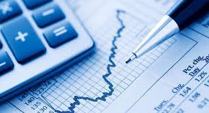 Financial statement audit services