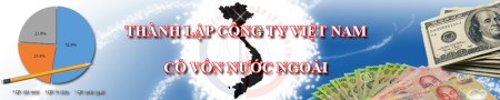 Foreign invested enterprise consulting