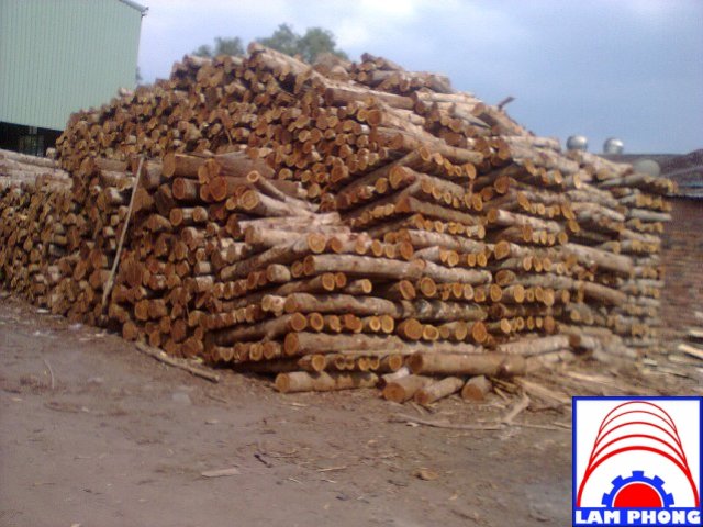 Wood
