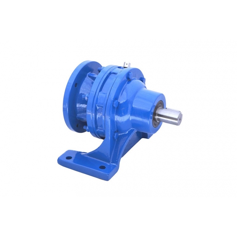 Cycloidal gear motor