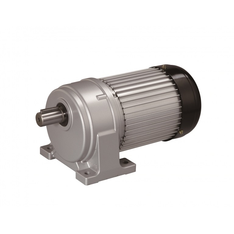 Luyang gear motor