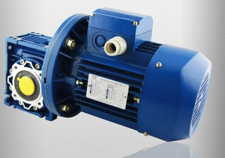 Worm gear motor