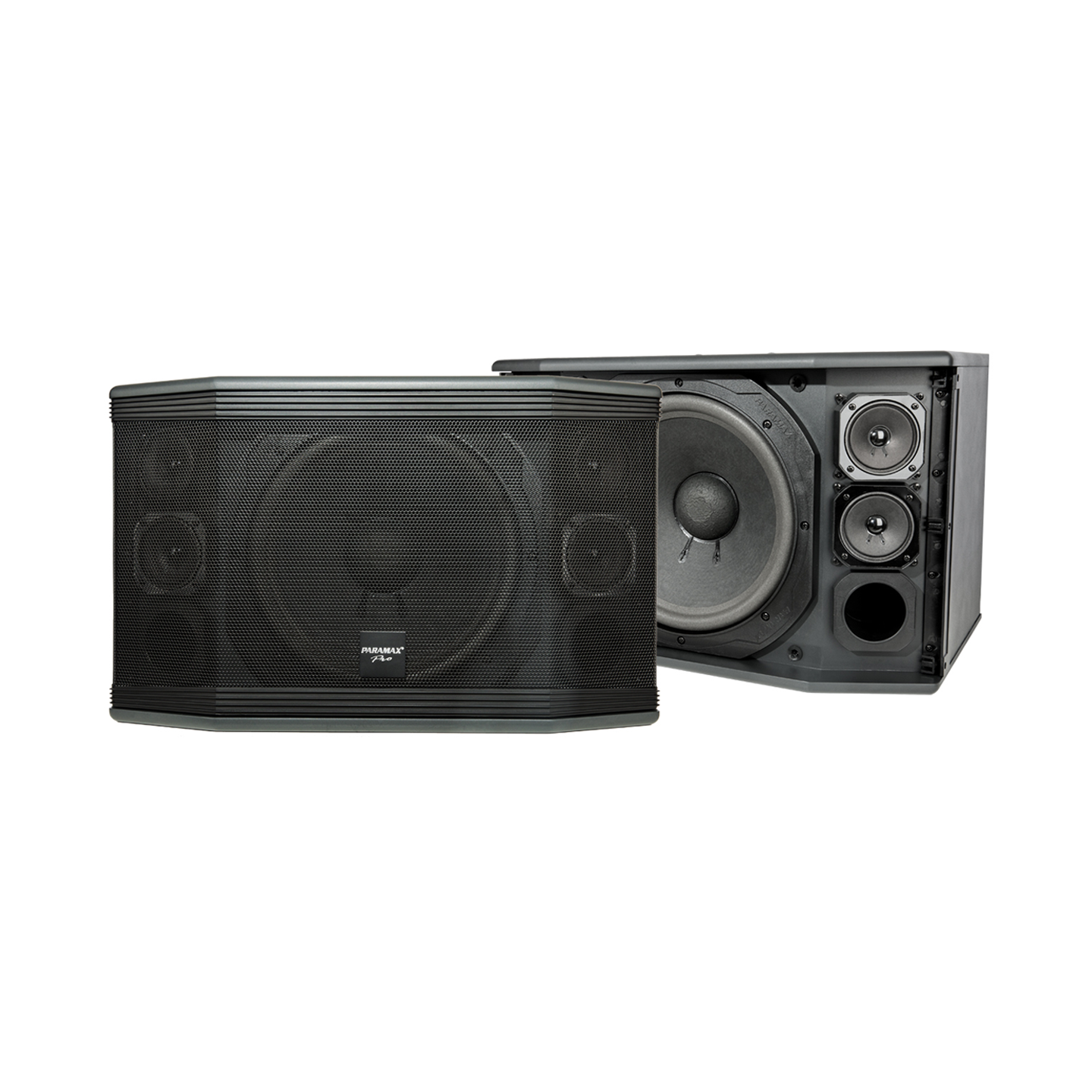 PA karaoke speaker