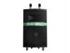 Paramax GO300 portable speaker