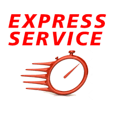 Express Service