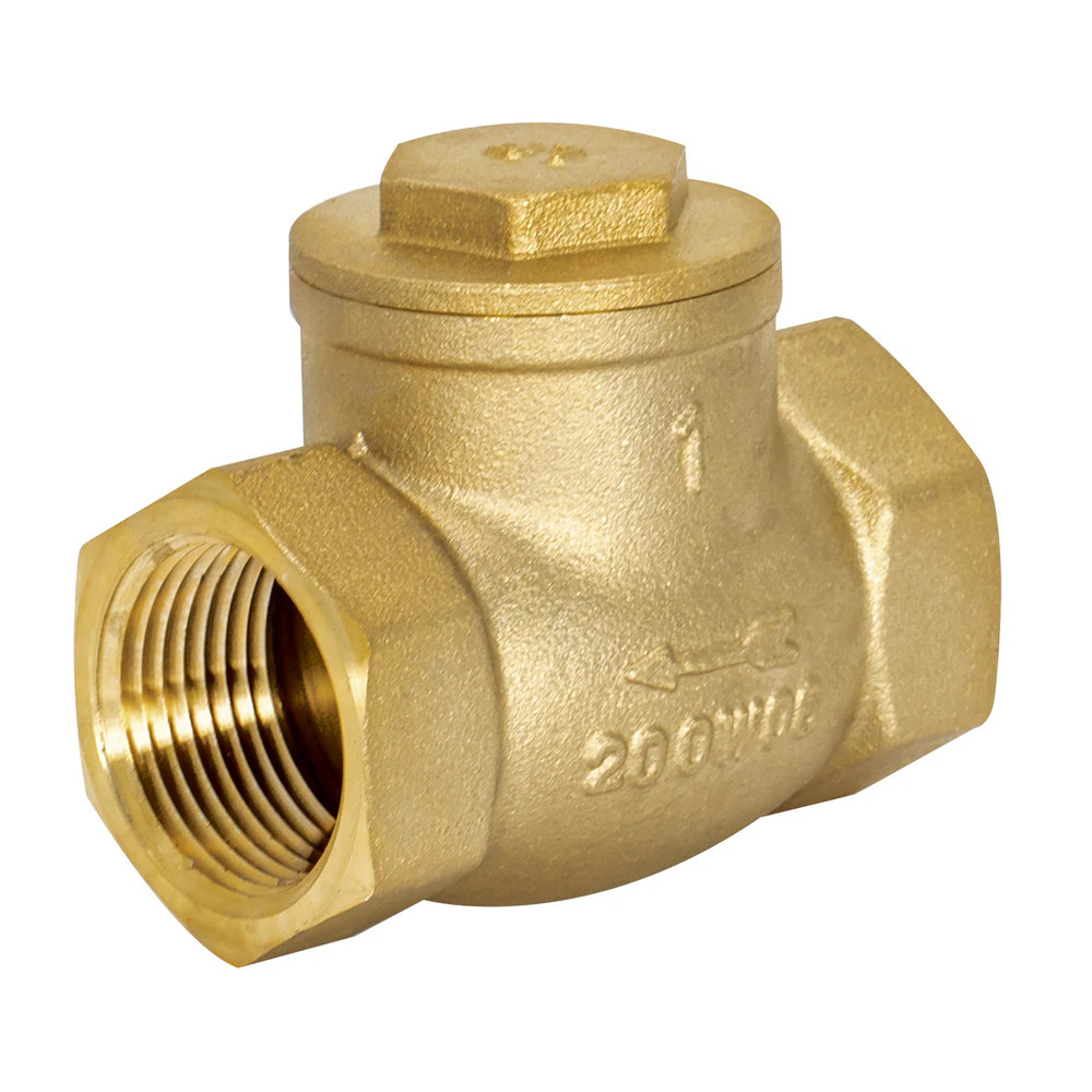 Check valve