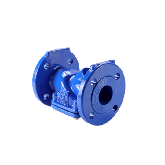 Flanged check valve
