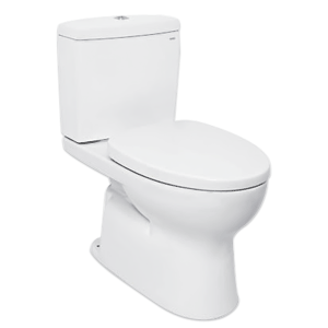 Toilet Bowl