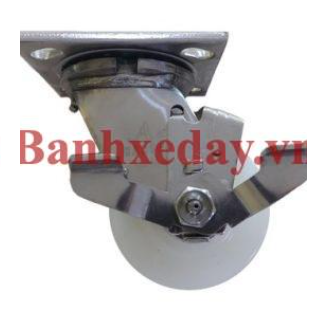 304 stainless steel casters