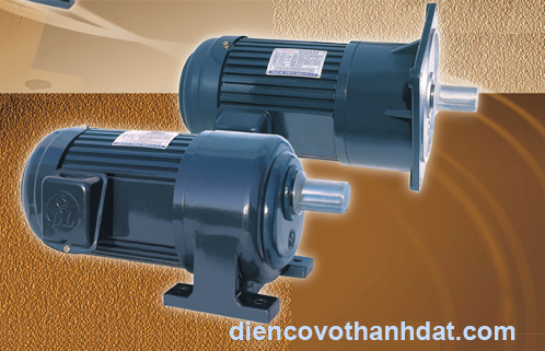 Speed reducing motor