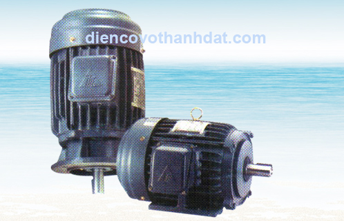 Motor Teco Taiwan