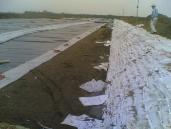 Waterproofing membrane